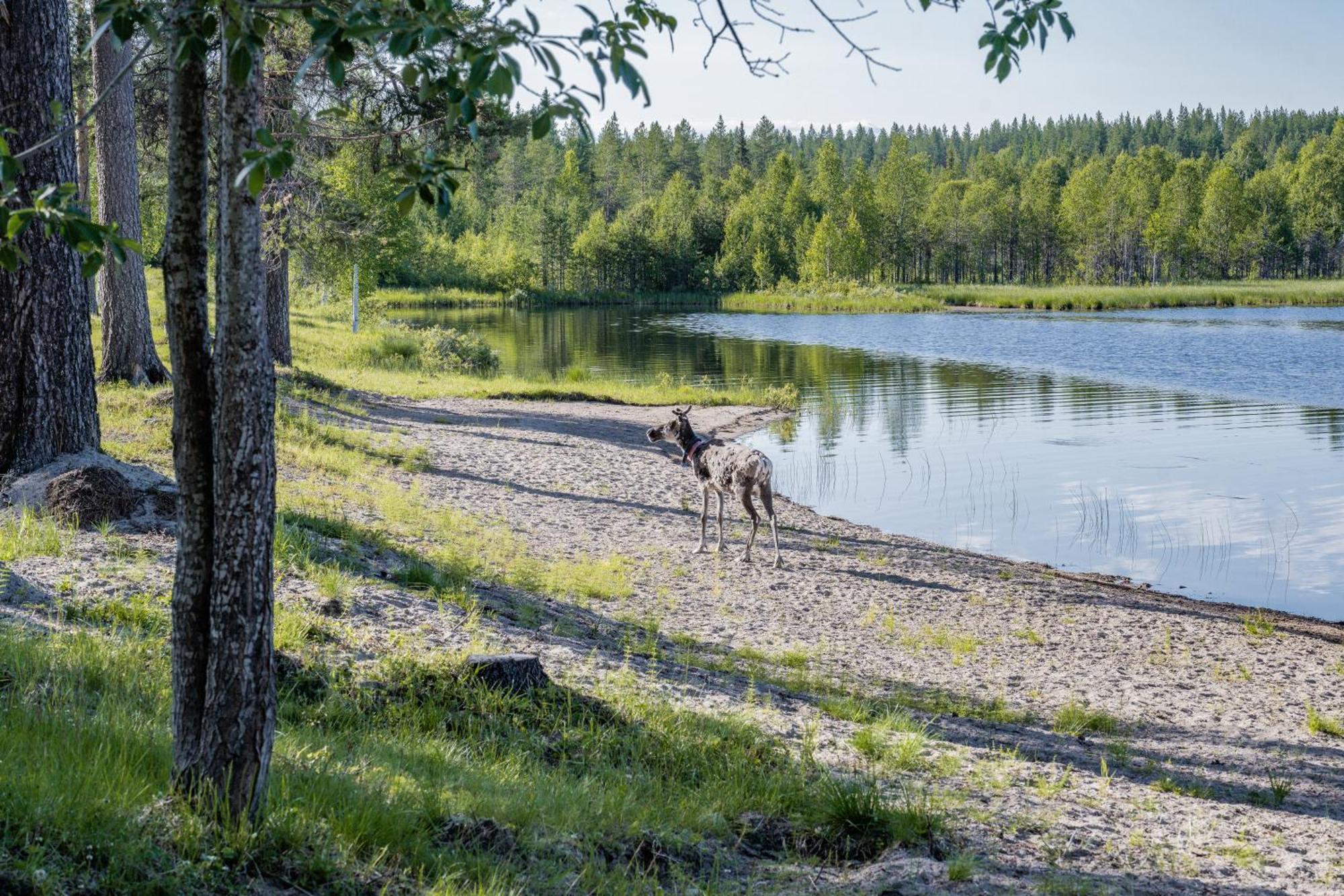 Hotel Kuusamon Portti Exteriör bild